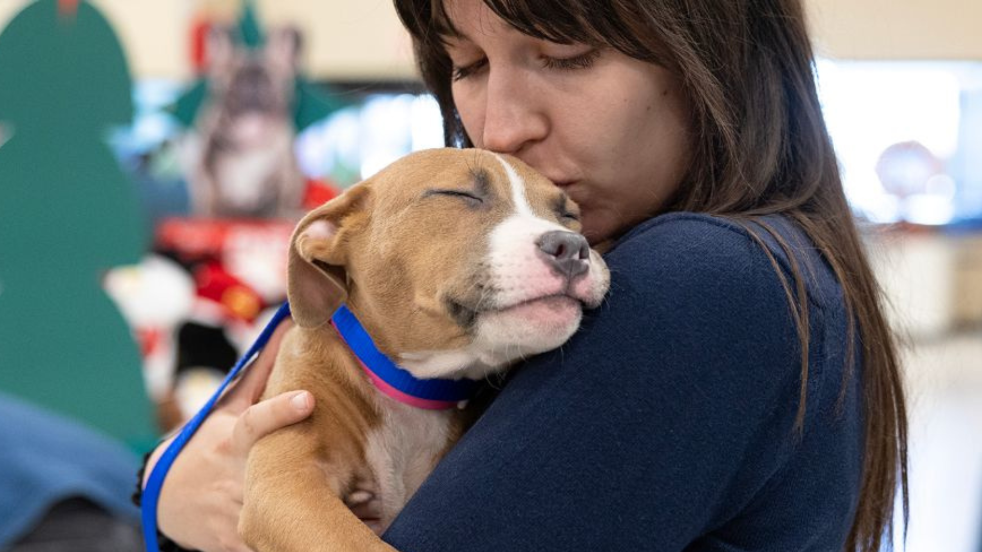 Woman kissing puppy